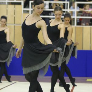 A felnőtt együttes-kéziszer csapat lírai hangvételű bemutatója