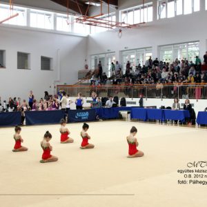 Gyermek 3 MTK Gradex